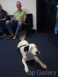 Visitor and his dog