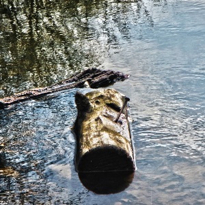 Aschenbrödel
