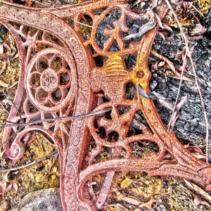 Blue Mountains Burned Bed