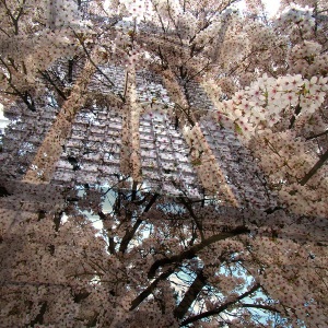 Sleeping-Beauty-Tower