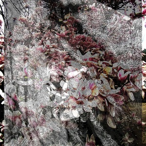 Untitled-3