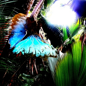 Untitled-2